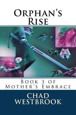bokomslag Orphan's Rise: Book 3 of Mother's Embrace