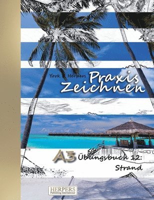 bokomslag Praxis Zeichnen - A3 Übungsbuch 12