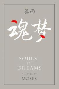 bokomslag Souls in Dreams