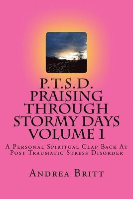 bokomslag P.T.S.D. Praising Through Stormy Days Volume 1: A Spirtual Clapback to Post Traumatic Stress Disorder