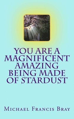 bokomslag You are a Magnificent Amazing being made of Stardust