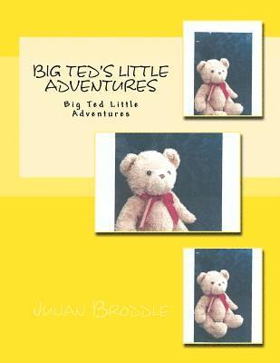 bokomslag Big Ted's Little Adventures: Big Ted Little Adventures