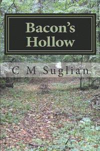 bokomslag Bacon's Hollow: Jake and Junior Adventures