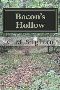 bokomslag Bacon's Hollow: Jake and Junior Adventures