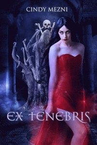 bokomslag Ex Tenebris: A Dark Fantasy