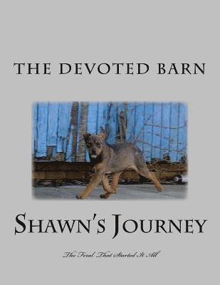 Shawn's Journey: The Feral That Started It All 1