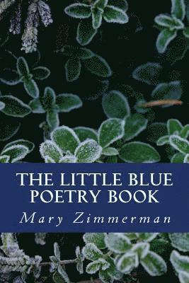 bokomslag The Little Blue Poetry Book