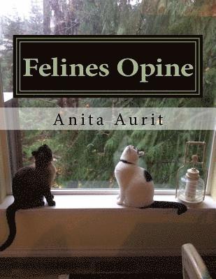 Felines Opine: God From A Feline Point of View (A Devotional for Cat Lovers) 1