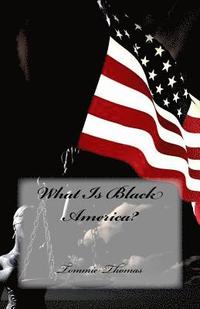 bokomslag What Is Black America?