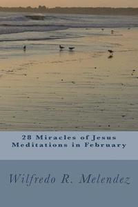 bokomslag 28 Miracles of Jesus - Meditations in February: Devotional