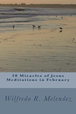 28 Miracles of Jesus - Meditations in February: Devotional 1
