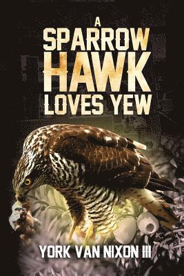 A Sparrow Hawk Loves Yew 1