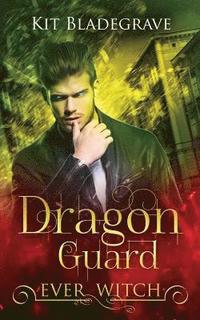 bokomslag Dragon Guard