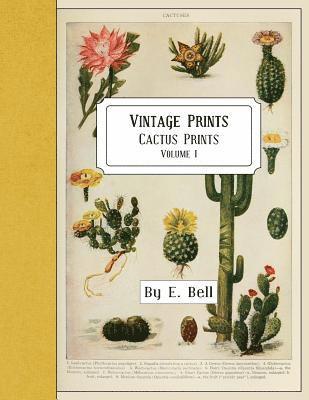 bokomslag Vintage Prints: Cactus Prints