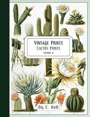 bokomslag Vintage Prints: Cactus Prints