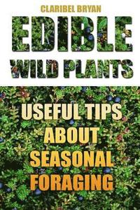bokomslag Edible Wild Plants: Useful Tips About Seasonal Foraging