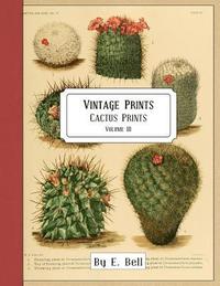 bokomslag Vintage Prints: Cactus Prints