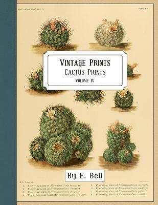 E. Bell - Vintage Prints: Cactus Prints, Häftad