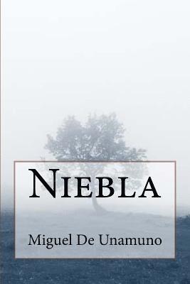 Niebla 1