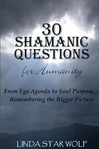 bokomslag The 30 Shamanic Questions for Humanity: From Ego Agenda to Soul Purpose...Remembering the Bigger Picture