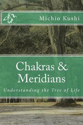 Chakras & Meridians 1