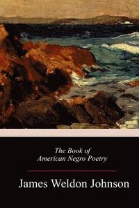 bokomslag The Book of American Negro Poetry