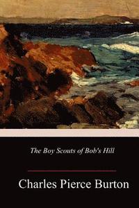 bokomslag The Boy Scouts of Bob's Hill