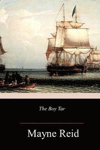 bokomslag The Boy Tar