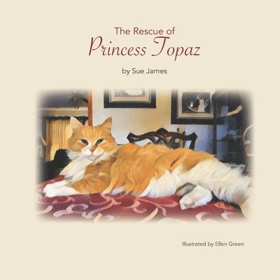 Sue James - The Rescue of Princess Topaz, Häftad