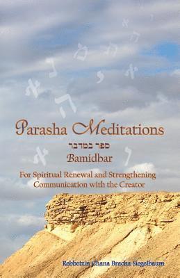 Parasha Meditations: Bamidbar - Visualizing our Lives' Journeys: For Spiritual Renewal and Strengthening Communication with the Creator 1