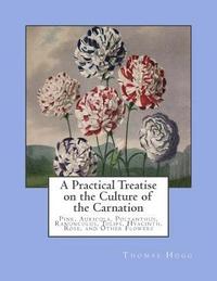 bokomslag A Practical Treatise on the Culture of the Carnation: Pink, Auricula, Polyanthus, Ranunculus, Tulips, Hyacinth, Rose, and Other Flowers