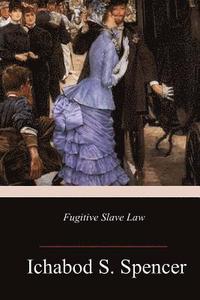 bokomslag Fugitive Slave Law