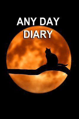 Any Day Diary: 6' X 9' One Day Per Page Format 1