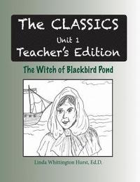 bokomslag The Witch of Blackbird Pond Teacher's Edition