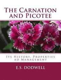 bokomslag The Carnation and Picotee: Its History, Properties ad Management