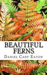 bokomslag Beautiful Ferns