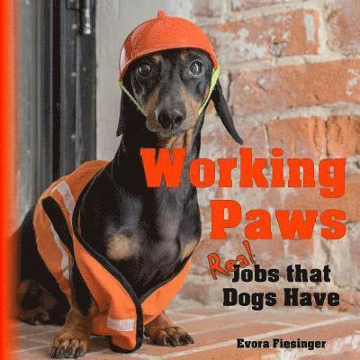 Jessica L. Fiesinger, Evora L. Fiesinger - Working Paws: Real Jobs that Dogs Have, Häftad