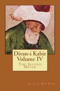 bokomslag Divan-I Kabir, Volume IV: The Second Meter