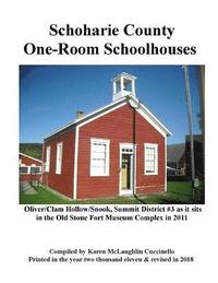 bokomslag Schoharie County One-Room Schoolhouses: Also referred to as little red or white schoolhouse, district school, common school, rural school or first six