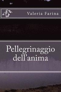 bokomslag Pellegrinaggio dell'anima