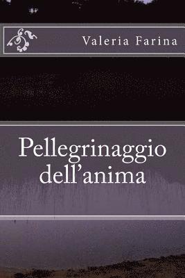 bokomslag Pellegrinaggio dell'anima