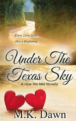 Under the Texas Sky 1