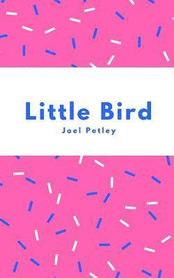 bokomslag Little Bird