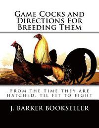 bokomslag Game Cocks and Directions For Breeding Them: From the time they are hatched, til fit to fight