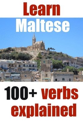 bokomslag Learn Maltese