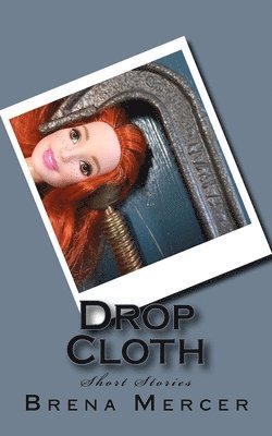 bokomslag Drop Cloth: Short Stories