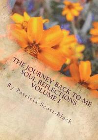 bokomslag The Journey Back To Me: Soul Reflections Volume I