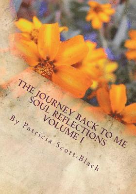 bokomslag The Journey Back To Me: Soul Reflections Volume I