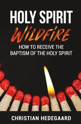 bokomslag Holy Spirit Wildfire: How to receive the baptism of the Holy Spirit