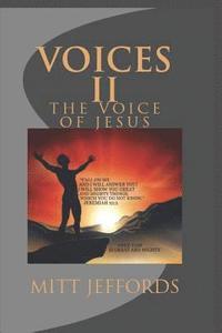 bokomslag voices 2: volume two